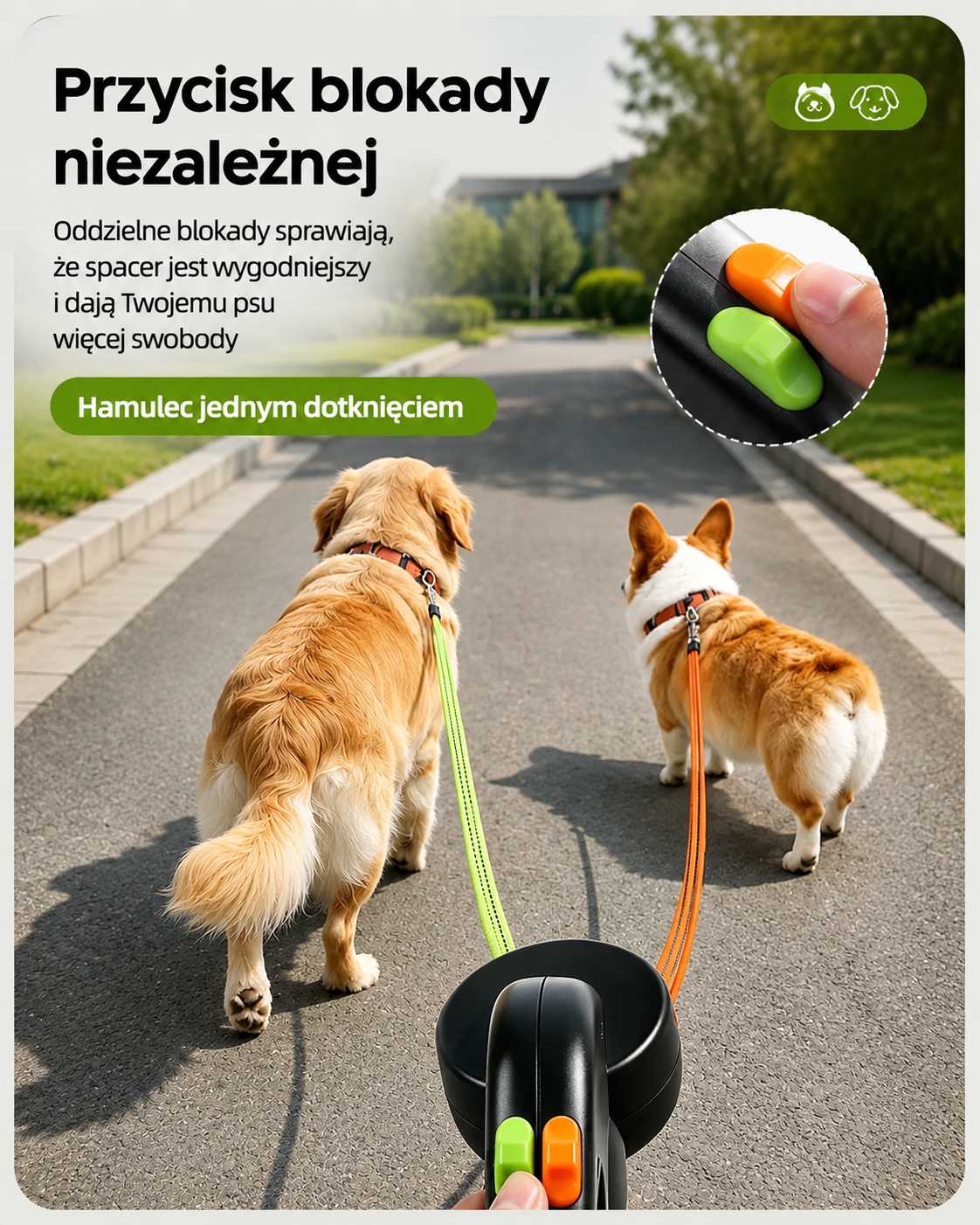 Podwójna Obrotowa Smycz®